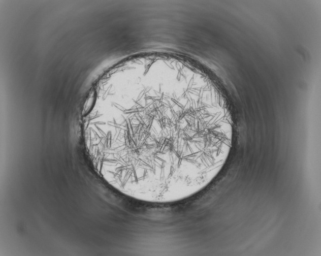 X0000112821363200910021153