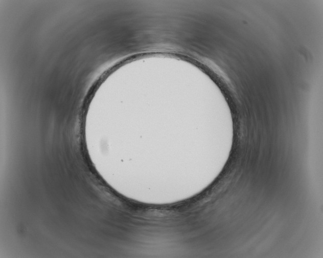 X0000112821364200910021153