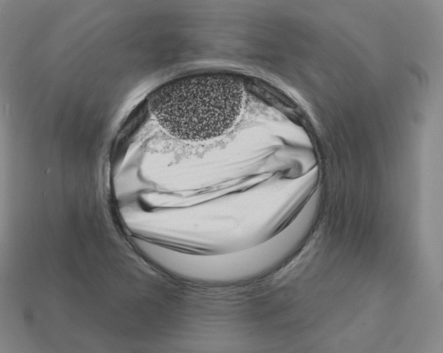 X0000112821365200910021153