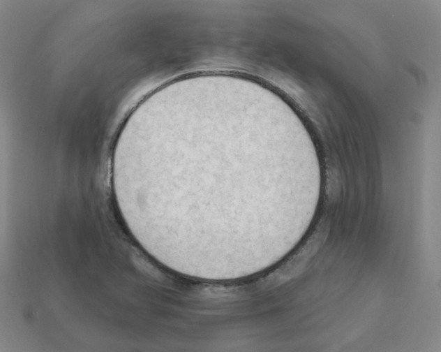 X0000112821366200910021153