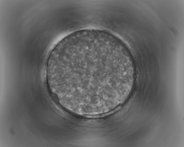 X0000112821367200910021153