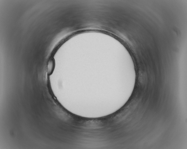 X0000112821368200910021153