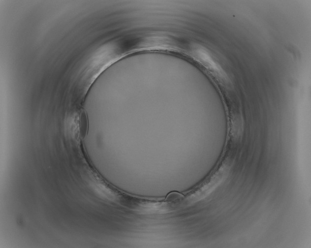 X0000112821369200910021153