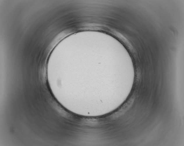 X0000112821370200910021153