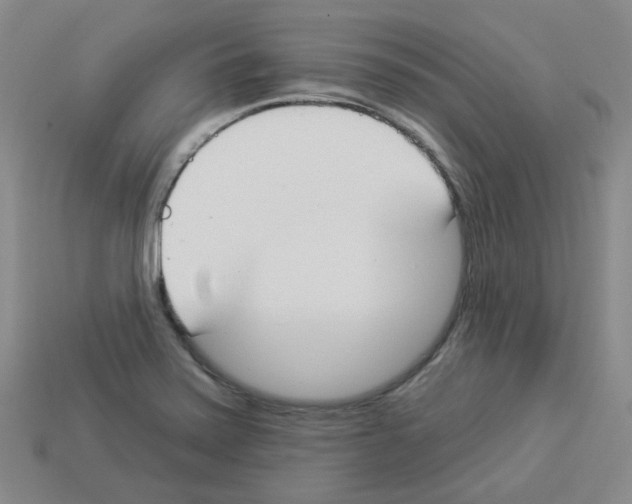 X0000112821371200910021153