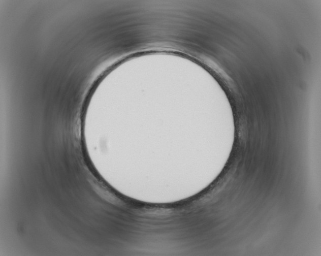 X0000112821372200910021153