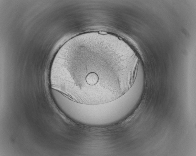 X0000112821373200910021153