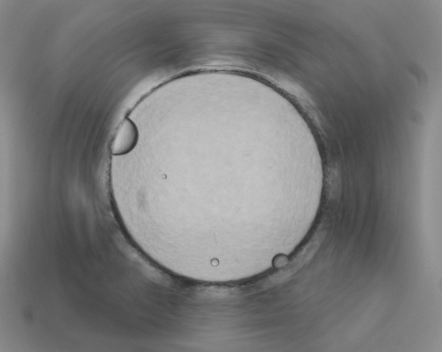 X0000112821374200910021153