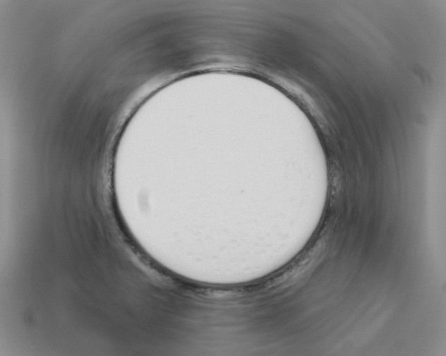 X0000112821375200910021153