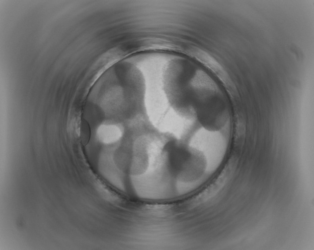 X0000112821377200910021152