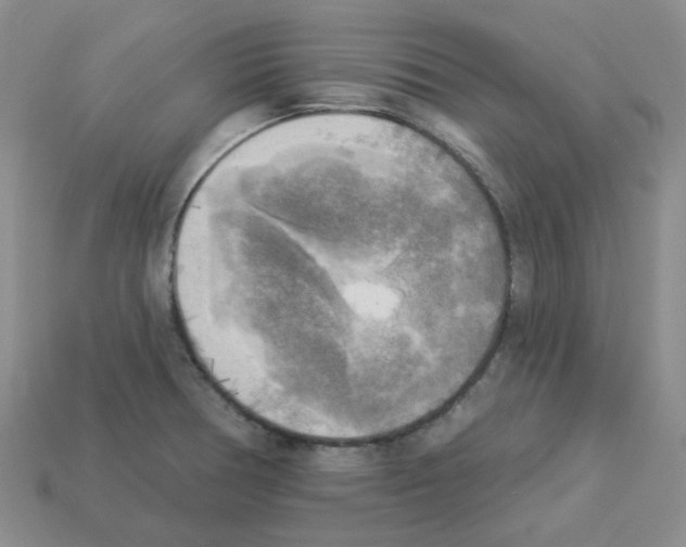 X0000112821378200910021152