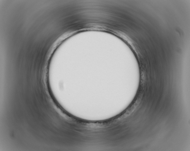 X0000112821379200910021152