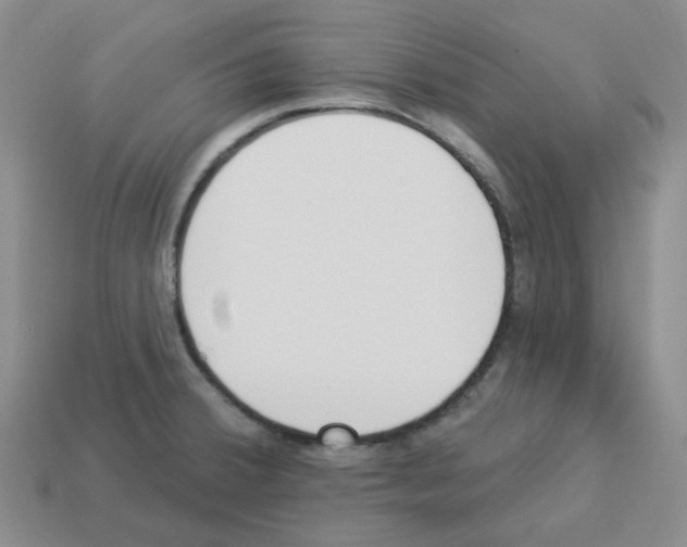 X0000112821380200910021152