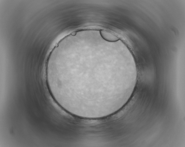 X0000112821382200910021152