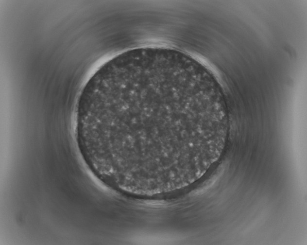 X0000112821383200910021152