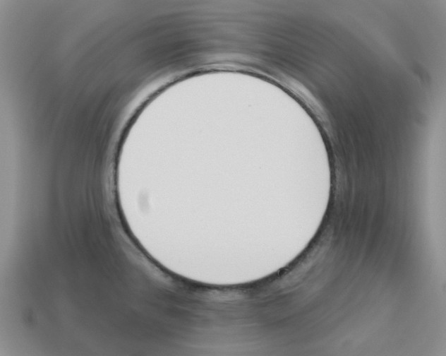 X0000112821384200910021152