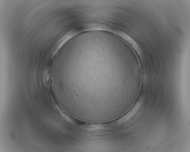 X0000112821385200910021152