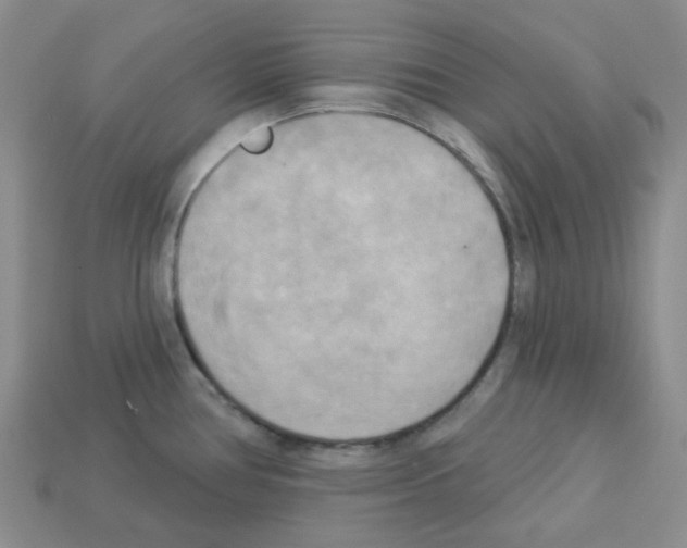 X0000112821386200910021152