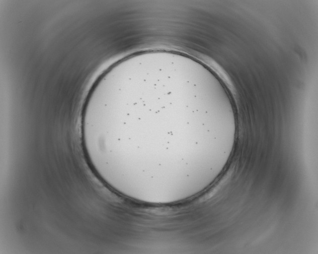 X0000112821388200910021152