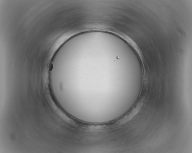 X0000112821389200910021152