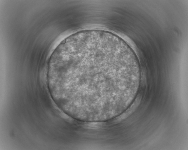 X0000112821390200910021152