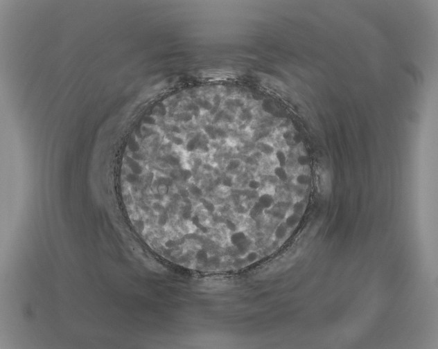 X0000112821393200910021152