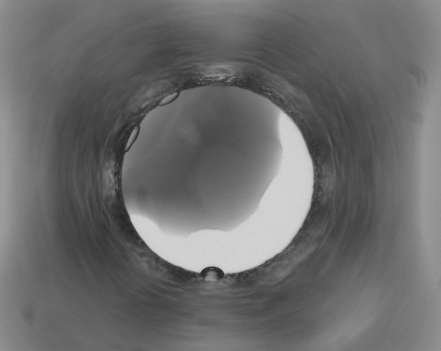 X0000112821394200910021152