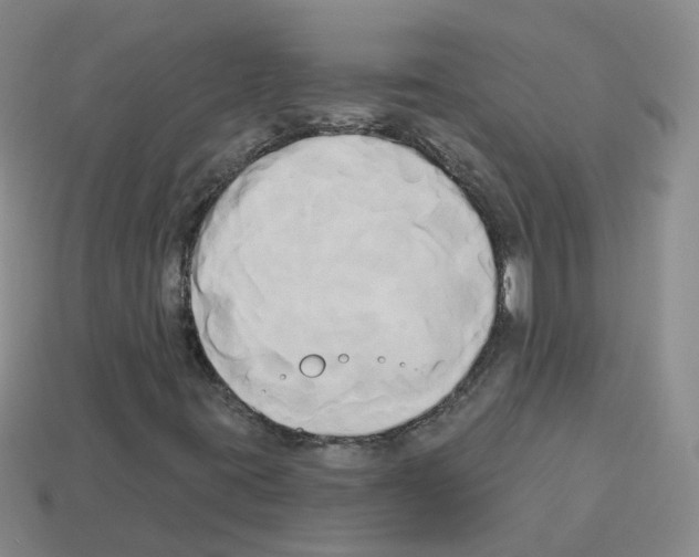 X0000112821395200910021152