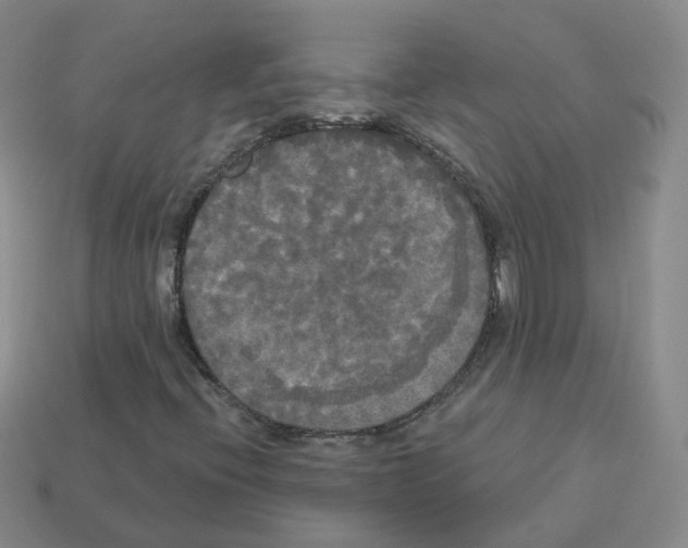 X0000112821396200910021152