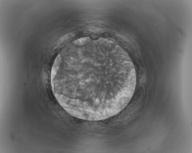 X0000112821397200910021152