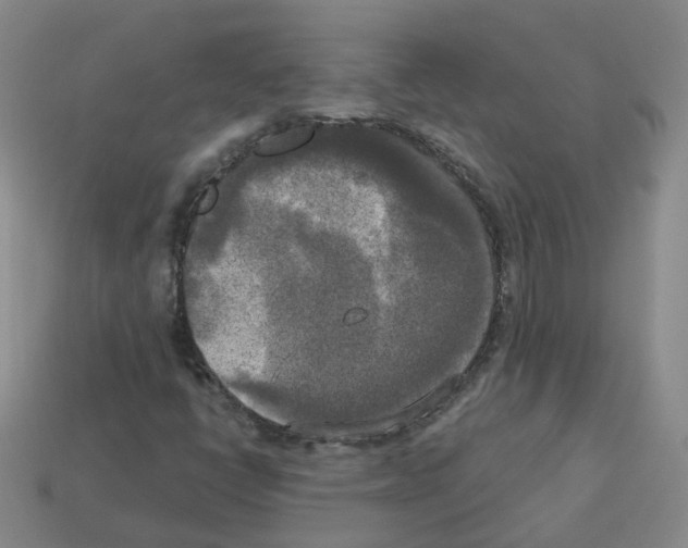 X0000112821398200910021152