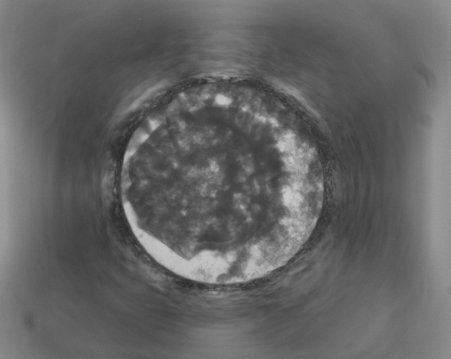 X0000112821399200910021152