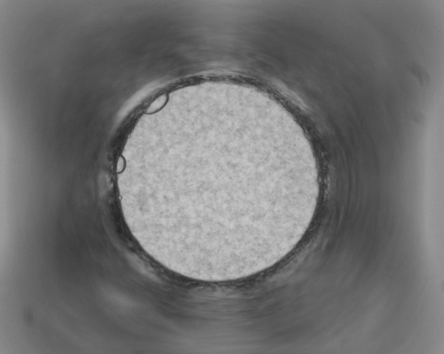 X0000112821400200910021152