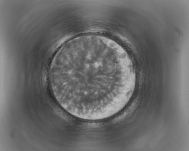 X0000112821401200910021152