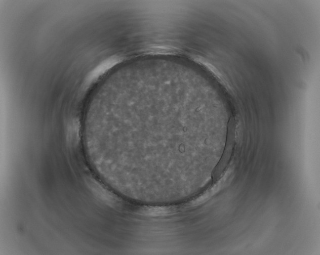 X0000112821402200910021152