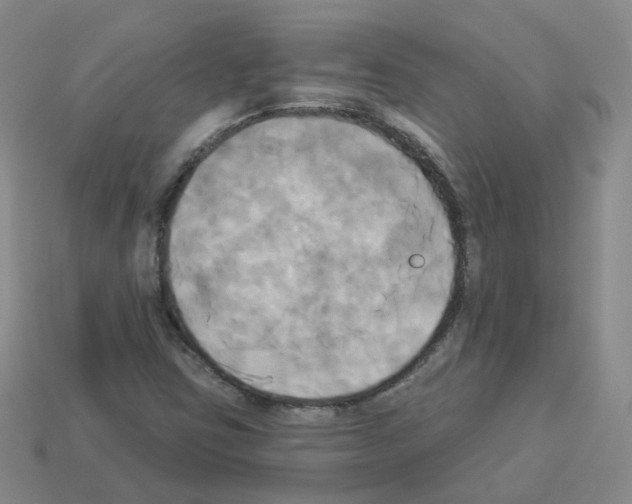 X0000112821403200910021152