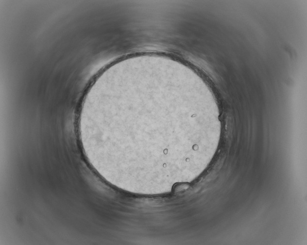 X0000112821404200910021152