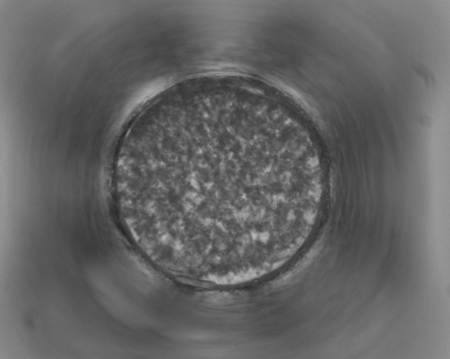 X0000112821405200910021152