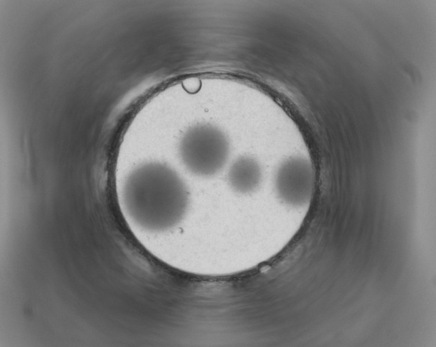 X0000112821406200910021152