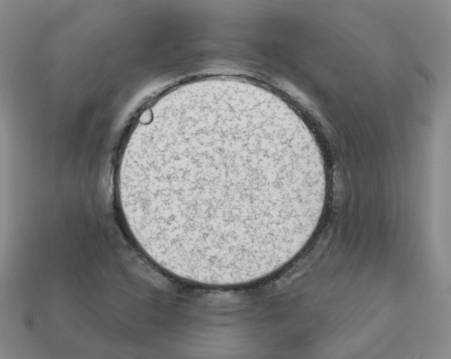 X0000112821408200910021152