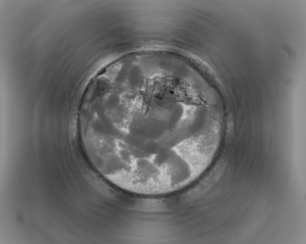 X0000112821409200910021152