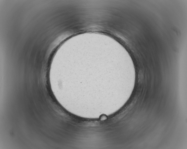 X0000112821410200910021152