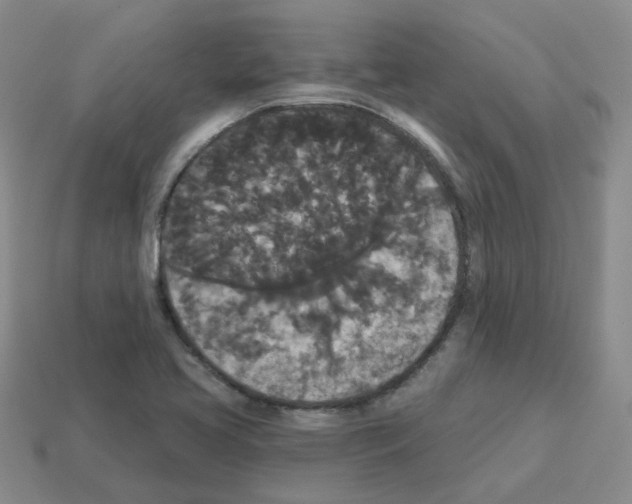 X0000112821413200910021152