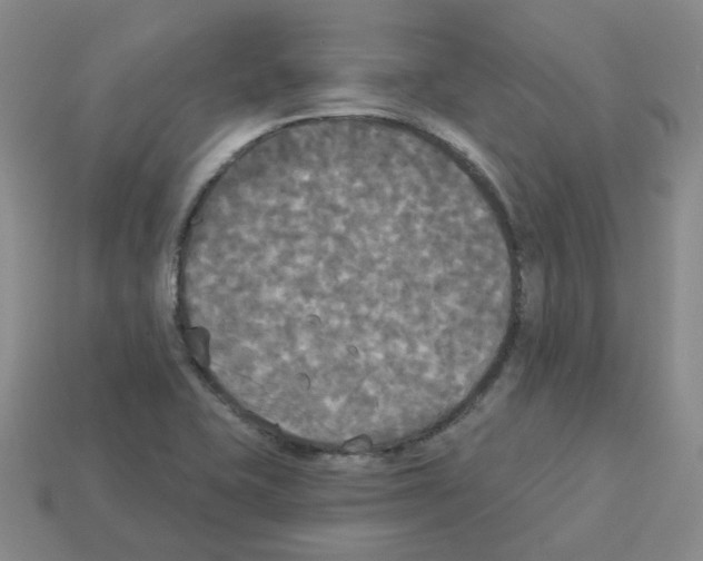 X0000112821415200910021152