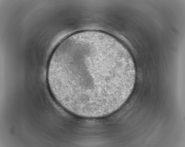 X0000112821416200910021152