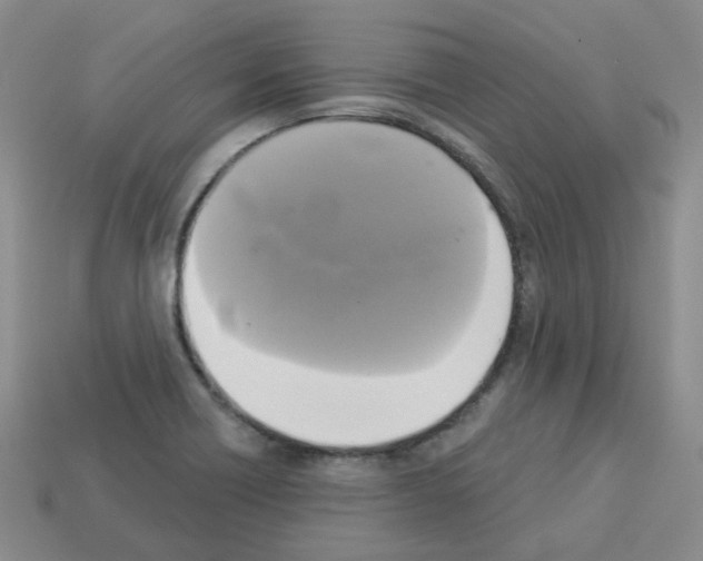 X0000112821418200910021152