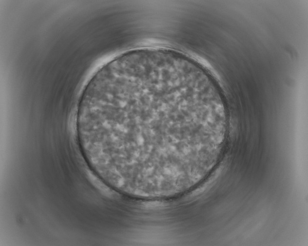 X0000112821421200910021152