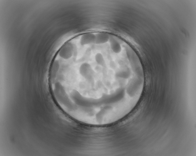 X0000112821423200910021152