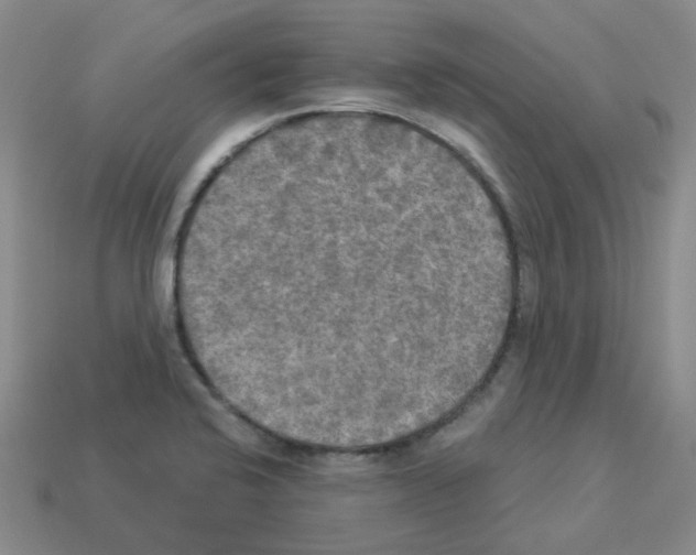 X0000112821424200910021152