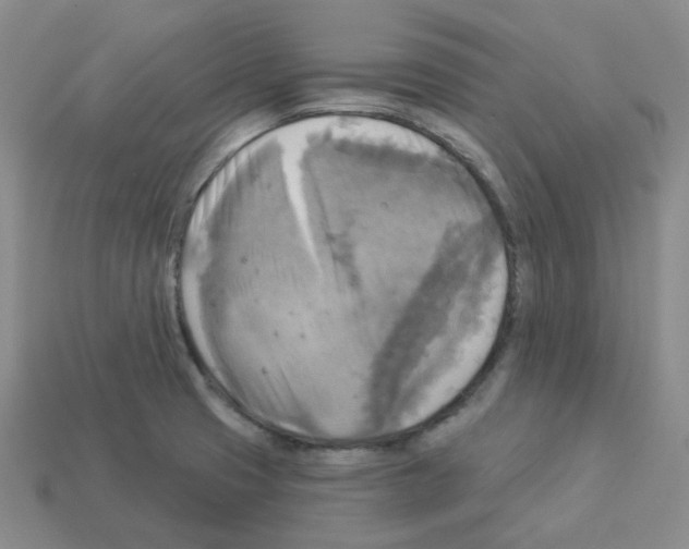 X0000112821425200910021152